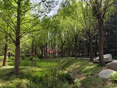 -郑州植物园