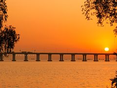 -宝安西湾红树林湿地公园