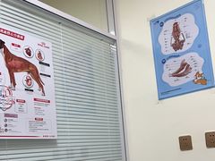 -全心全意连锁动物医院(加州店)