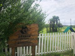 -上海崇明金茂凯悦酒店