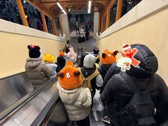 -迪士尼乐园停车场