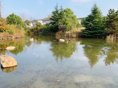 -白马涧龙池景区