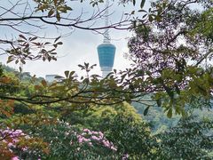 -梧桐山风景名胜区