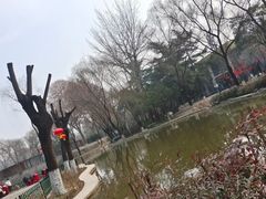 -西安市长乐公园