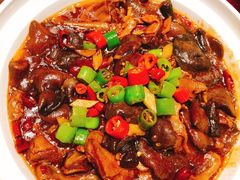 野生红蘑烧鸽子-王府井酒店(金桥港湾店)