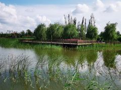 -张家湾公园