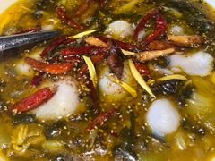 -四姐妹东北饺子(沙尾路店)