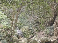 -波尔登森林公园