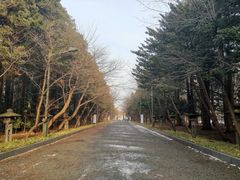 -北海道神宫