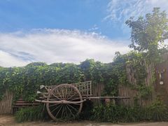 -呀路古热带植物园
