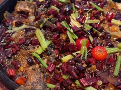 -老板恋上鱼(恒隆广场店)