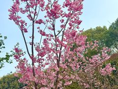 -梁鸿国家湿地公园