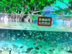 -福州罗源湾海洋世界旅游区