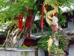-黄龙溪古镇