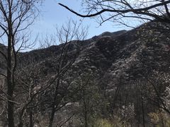 -北京鹫峰国家森林公园