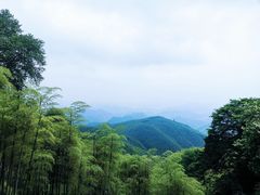 -莫干山风景区