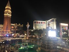 -拉斯维加斯永利酒店