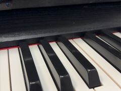 -MusicLife音乐(浦东校区)