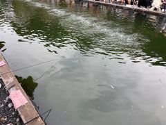 -DGE季风钓虾营地·团建·聚会