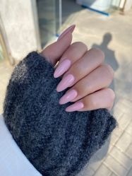 -BELLAREAL新美社