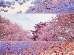 -1点点(中山门大街店)