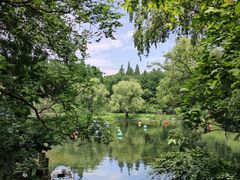 -上海共青森林公园