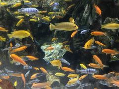 -太平洋海底世界