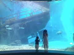 -福州罗源湾海洋世界旅游区