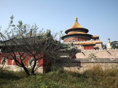 -普乐寺