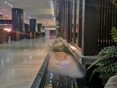 -老头儿油爆虾(星光一期店)