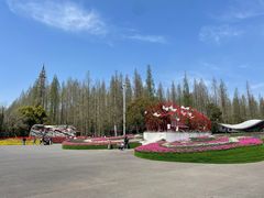 -东平国家森林公园