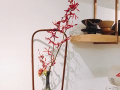 -茶是一枝花泡茶店