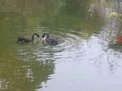 -水绘园