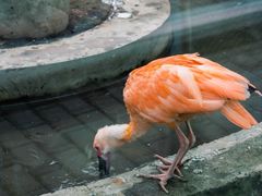 -青藏高原野生动物园