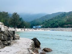 -杨梅坑