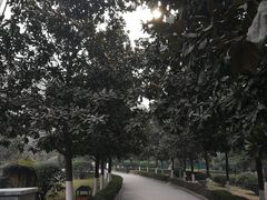 -西京医院