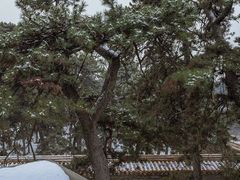 -清西陵