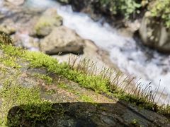 -西岭雪山大飞水景区