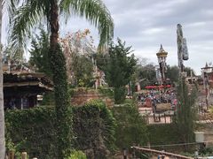 -奥兰多迪士尼动物王国乐园