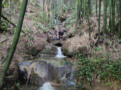 -缙云山景区