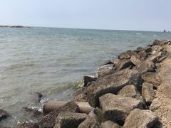 -东戴河风景区