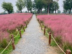 -汉长安城未央宫国家考古遗址公园