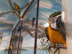 -石家庄市动物园