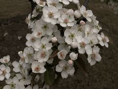 -同济大学(嘉定校区)