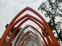 -白鹭湾湿地公园