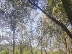 -大连铭湖国际观光牧场