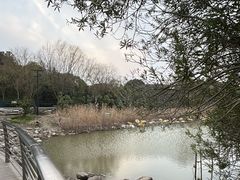 -上海吴淞炮台湾国家湿地公园