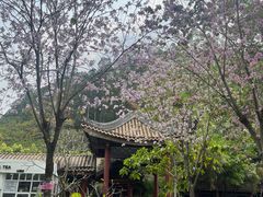 -顺峰山公园