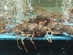 -阿伟海鲜楼·福建菜(延寿店)