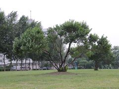 -辽宁大学(崇山校区)